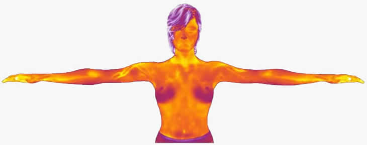 A Professional's Guide to Brest Thermology